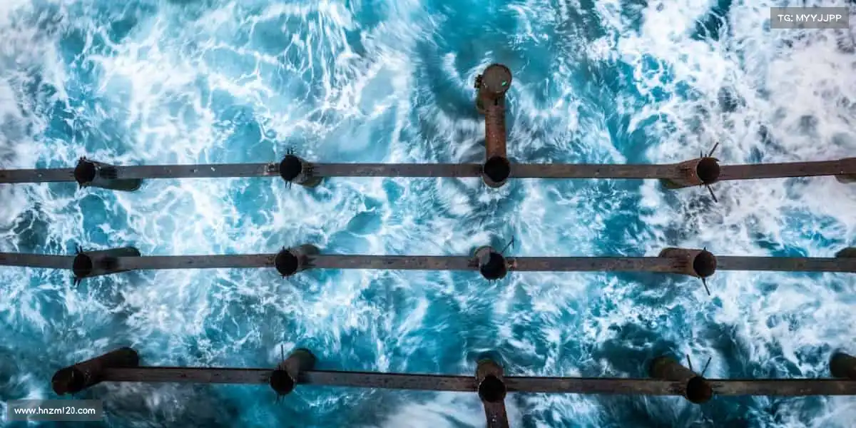 <strong>xc体育</strong>体育的魅力，在于挑战极限时的永不言弃！🔥